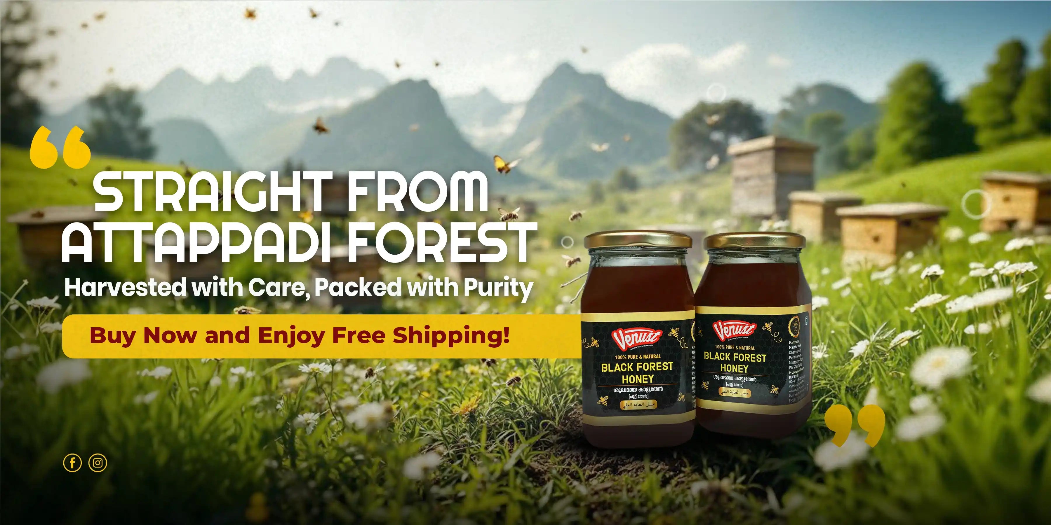 Venust honey jars neatly displayed, showcasing premium-quality Kerala honey for sale; perfect for customers looking to buy Kerala honey online."